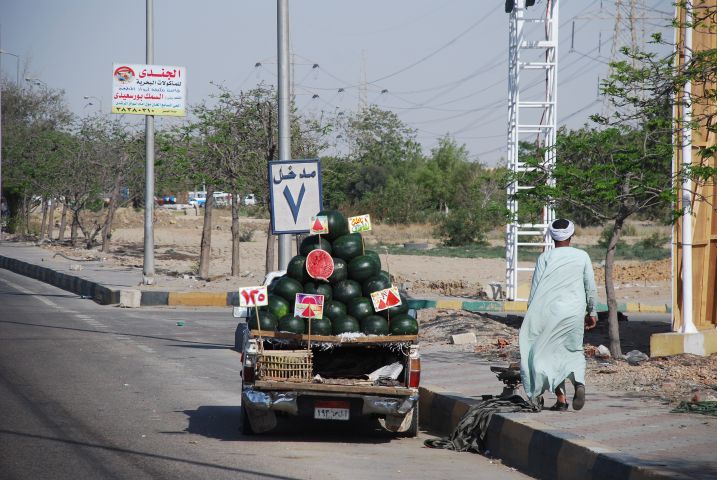Diese Melonen bestehen aus 99% Nilwasser