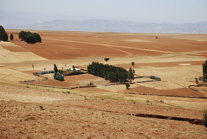 Gehöft nördlich von Addis Ababa, zwischen Fiche und Gebre Guracha