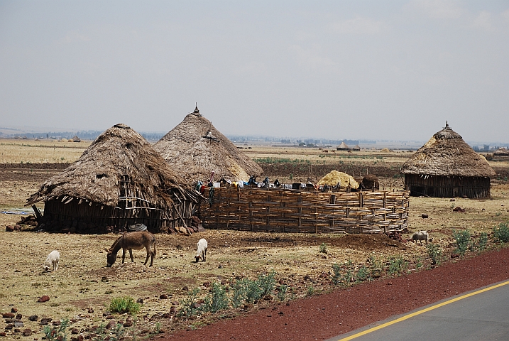 Gehöft am Weg in die Bale Mountains, bei Dodola, östlich von Shashemene