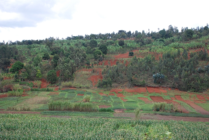 Typisch burundische Agrarlandschaft