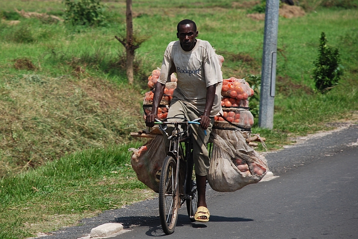 Die einen transportieren mit dem Velo zentnerweise Tomaten...