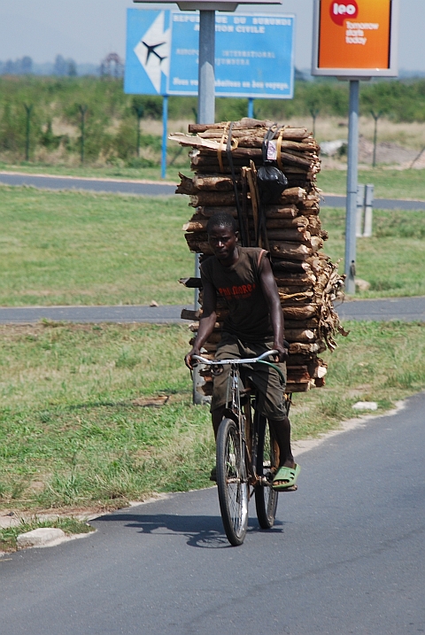 ...die anderen Brennholz in die Hauptstadt
