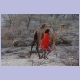 Samburu mit seinem Kamel in Laisamis