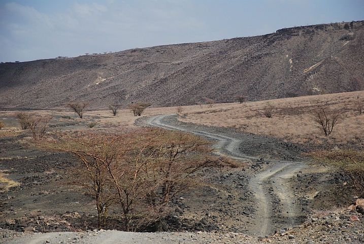 Piste zwischen Loiyangalani und North Horr