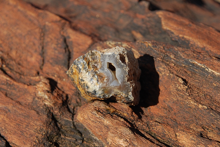 Mineralisches Fundstück im Petrified Forest im Süden des Nationalparks