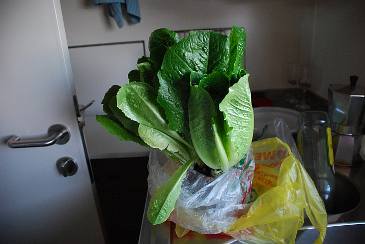 Der Pflücksalat von Kapishya Hot Springs in Sambia