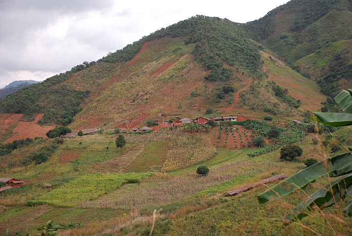 Landwirtschaft im nördlichen Hinterland von Malawi bei Livingstonia