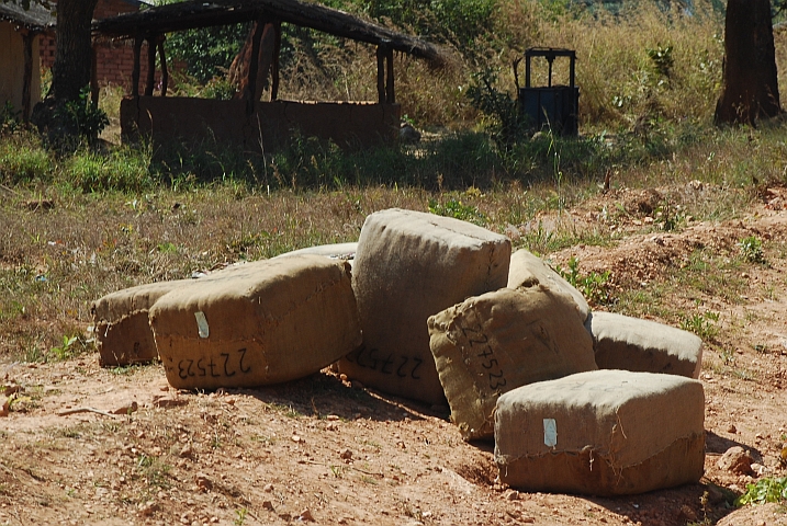 Tabakballen zum Abtransport bereit, im Hintergrund eine Ballenpresse