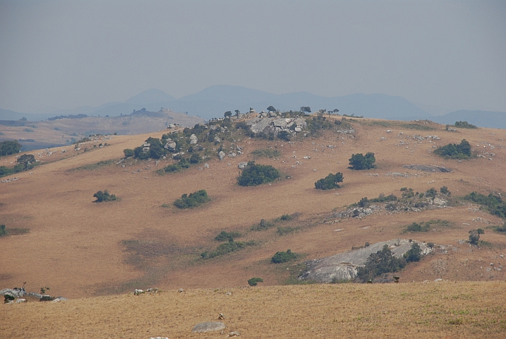 Die typische Nyika Graslandschaft