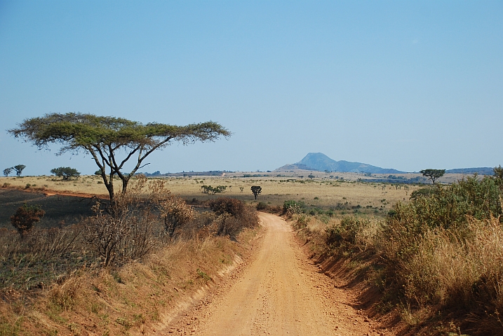 Links der Piste hat das Nyika Plateau bereits gebrannt
