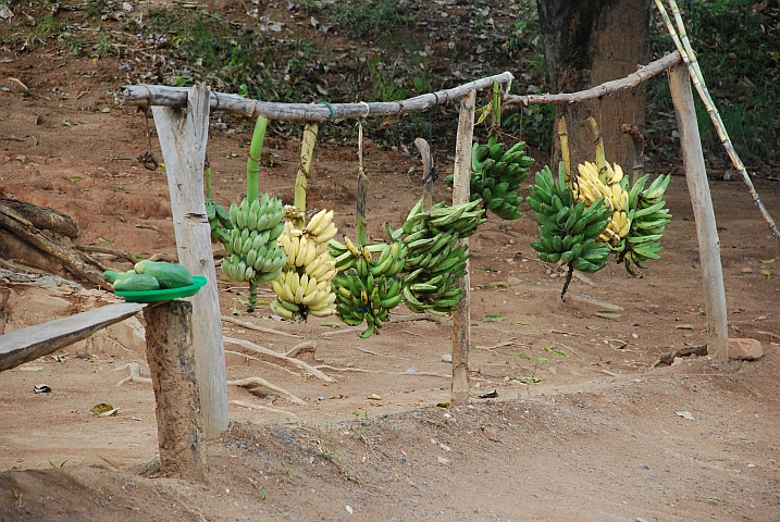 Papaya und Bananen stehen am Strassenrand zum Verkauf