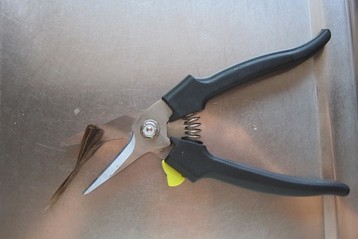 Von Isabella selbst geschnittene Haarspitzen