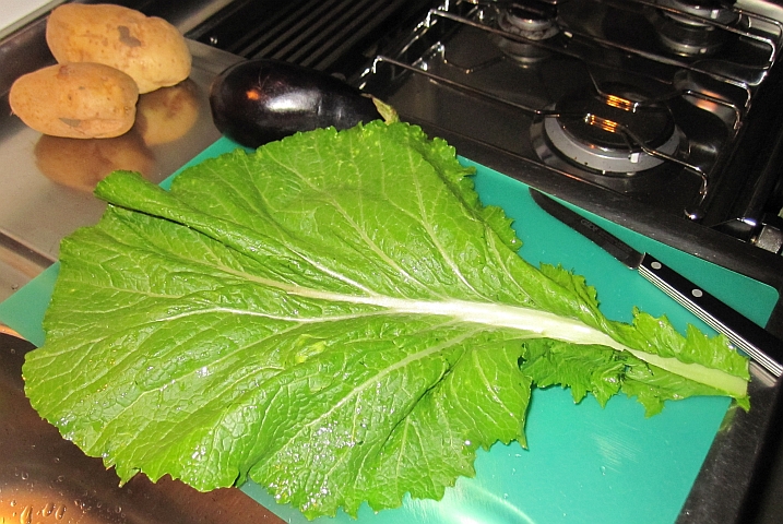 Das unbekannte grüne Kraut