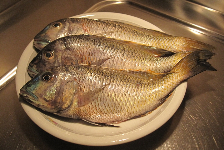 Die Chambos bereit für den Grill