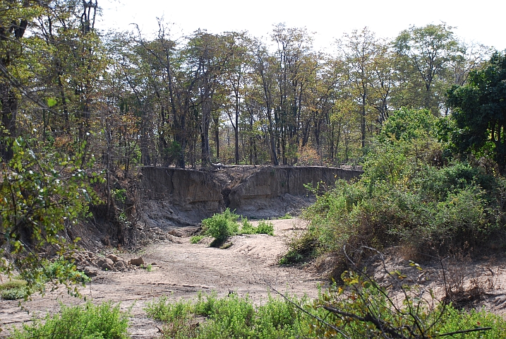 Ausgewaschenes Flussbett