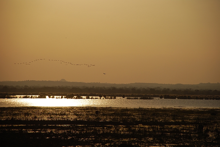 Die späte Nachmittagssonne spiegelt sich im Shire Fluss im Liwonde Nationalpark