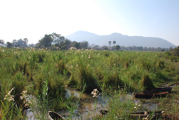 Kanus am Rande des Liwonde Nationalparks