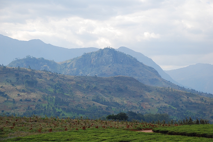 Teil des Mulanje-Massivs an der Grenze zu Mosambik