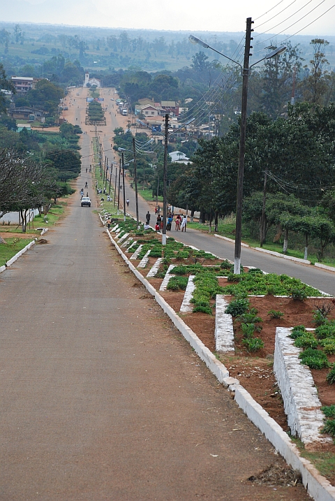 Blick vom Verwaltungsgebäude über Milanges Prachtallee
