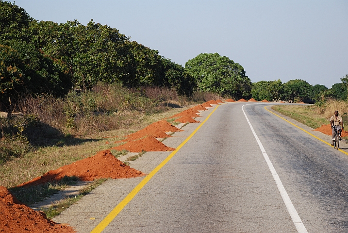 Cashewwälder entlang der Strasse
