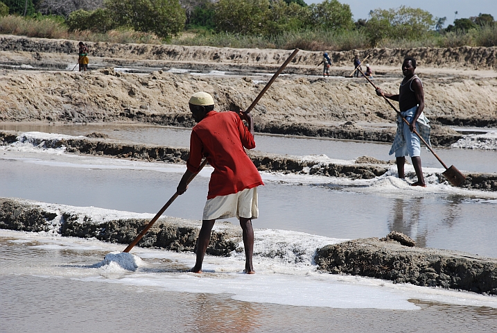 Salzgewinnung in der Saline von Lumbo