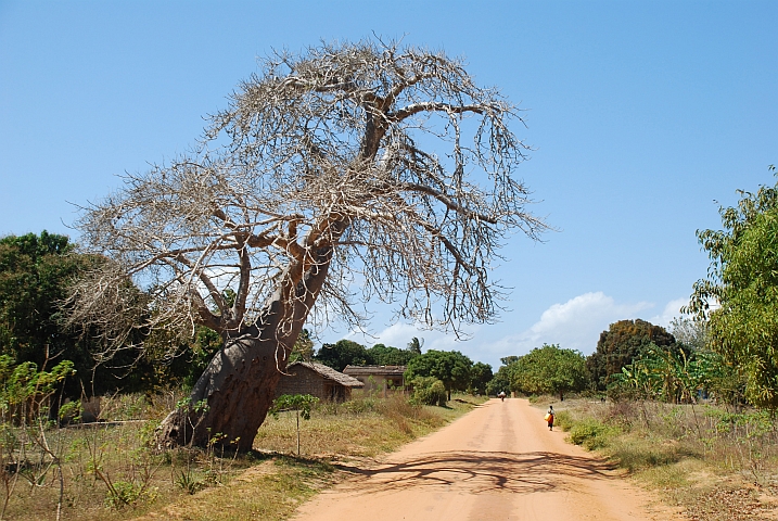 Die schöne Piste zwischen Mossuril und Chocas Mar