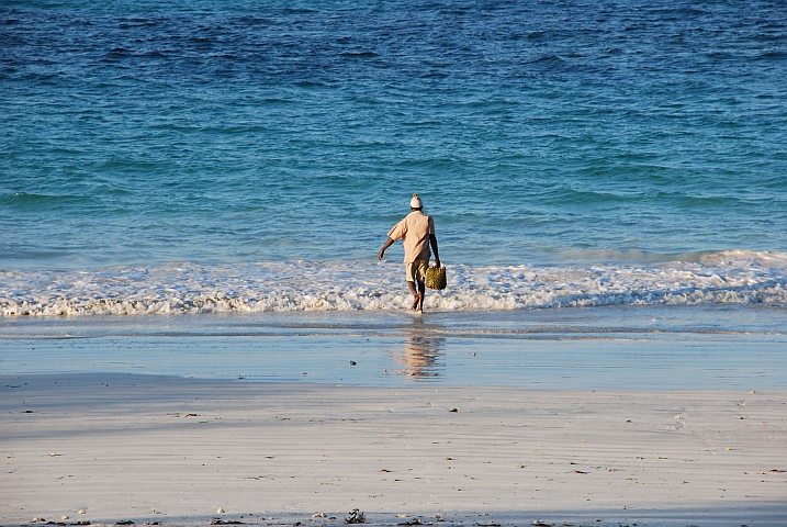 Japume geht die bestellten Krabben im Meer waschen
