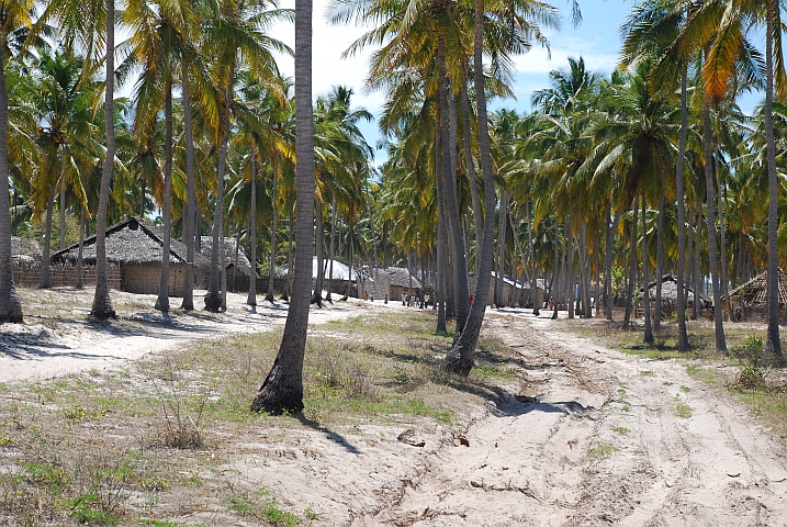 Von Mucojo nach Pangane ist die Piste teilweise sehr tiefsandig