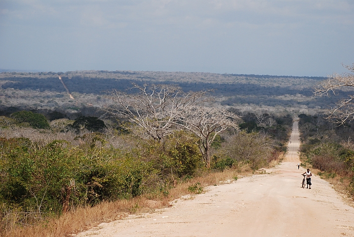 Piste zwischen Mucojo und Macomia