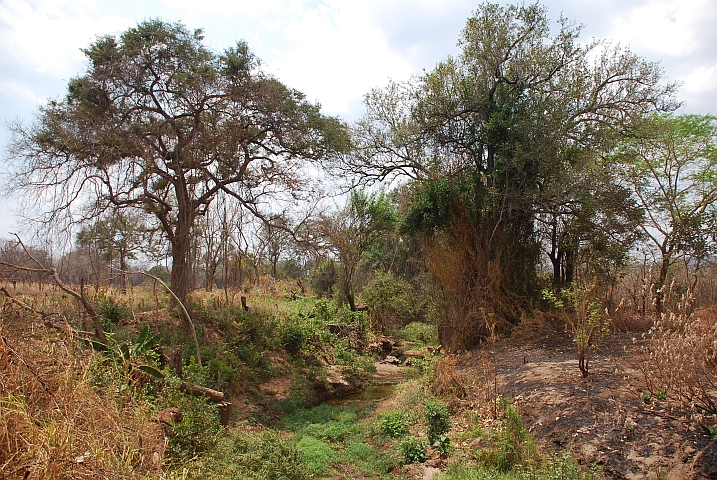 Etwas grün in der sonst eher farblosen Gegend