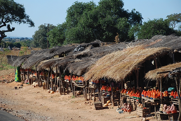 Gemüseverkaufsstände zwischen Lusaka und Kabwe