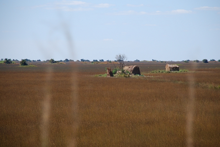 Bewohnte Inseln im Sumpf