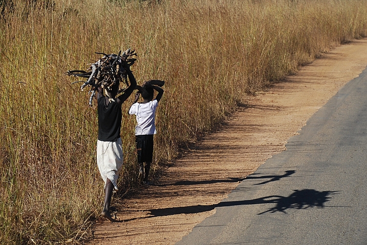 Zwei Kinder tragen Feuerholz nach Hause