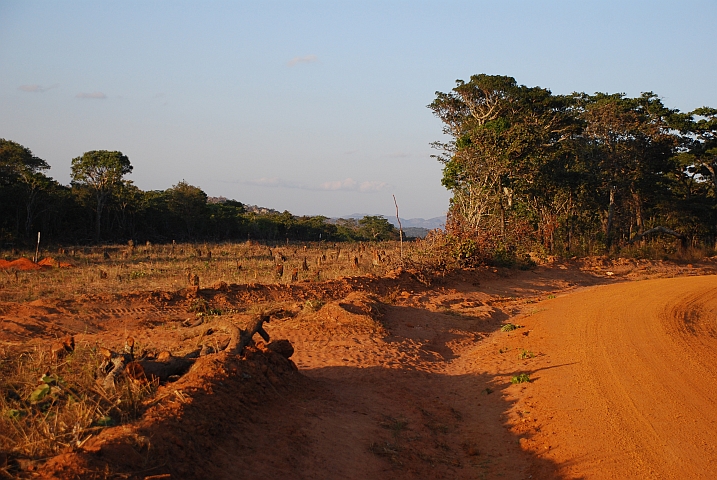 Durch diese Schneise soll eine Hochspannungsleitung führen
