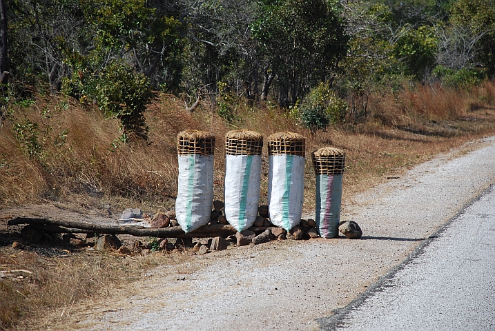 Holzkohlesäcke stehen feinsäuberlich am Strassenrand zum Verkauf