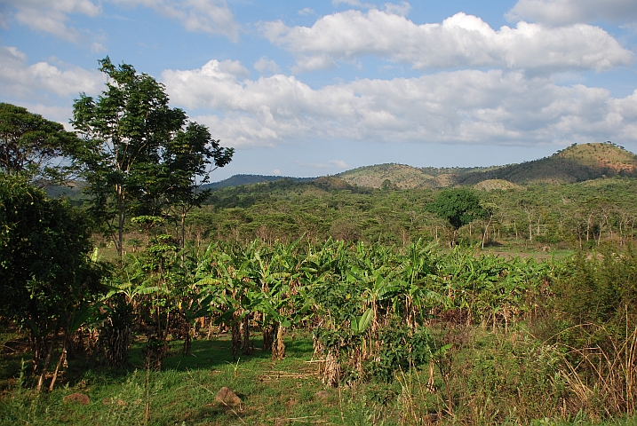 Landschaft bei Nyakahura in Nordwesttansania