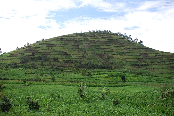 Bebauter Hügel im Süden von Uganda bei Nyakabande zwischen Kisoro und dem Lake Bunyonyi