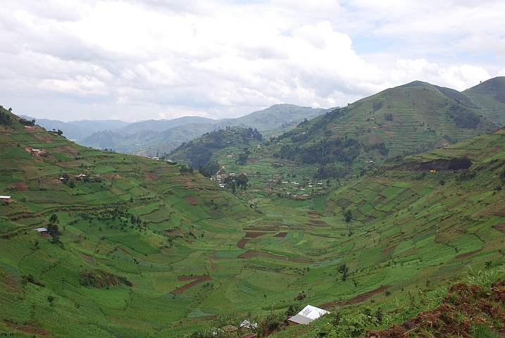 Bebaute Hügel fast wie in Ruanda: zwischen Kisoro und dem Lake Bunyonyi
