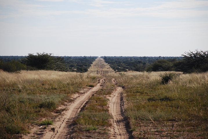 Die rund 100km lange bolzengerade Zufahrt zur Mabuasehube Sektion des Kgalagadi Nationalparks