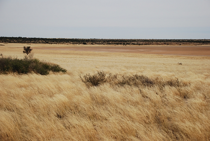 Mabuasehube Pan im gleichnamigen Teil des Kgalagadi Nationalparks
