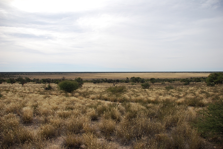 Bosogobolo Pan im Osten des Kgalagadi Nationalparks