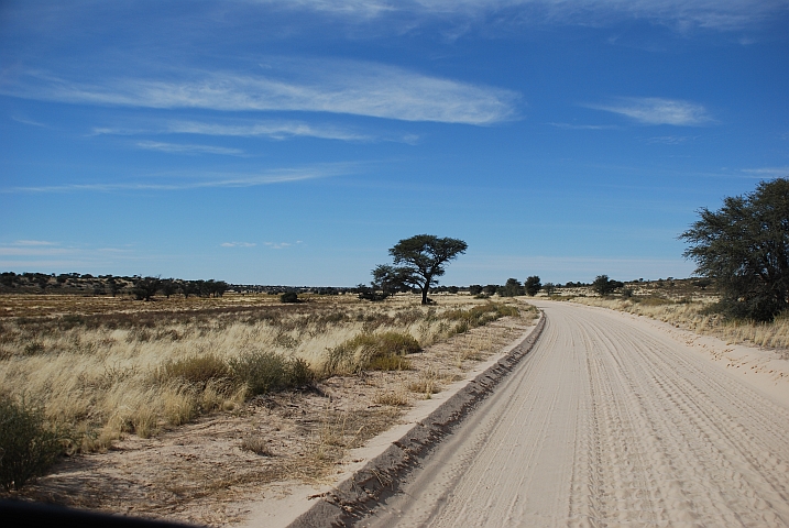Piste im Nossob Tal des Kgalagadi Nationalparks
