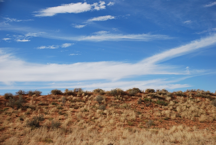 Bewachsene Düne im Kgalagadi Nationalpark