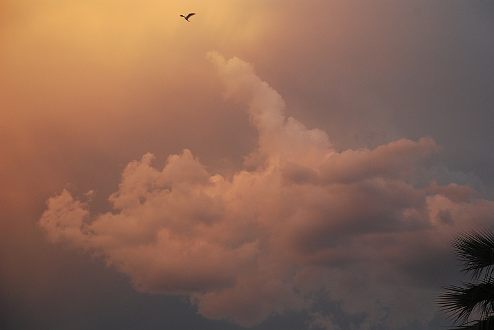 Abendliche Wolkenstimmung bei Maun