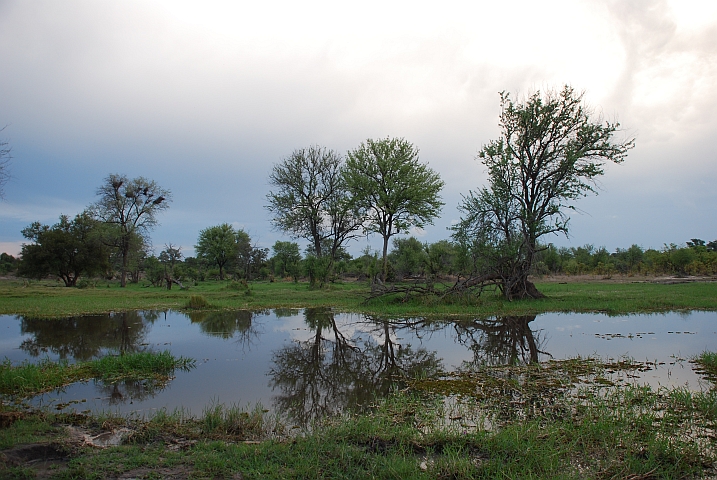 Der Khwai Fluss bei Mababe, südlich des Chobe Nationalparks