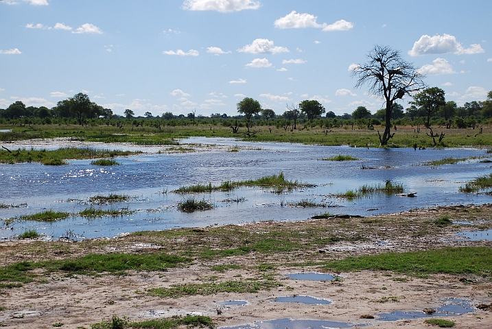 Khwai River im Chobe Nationalpark