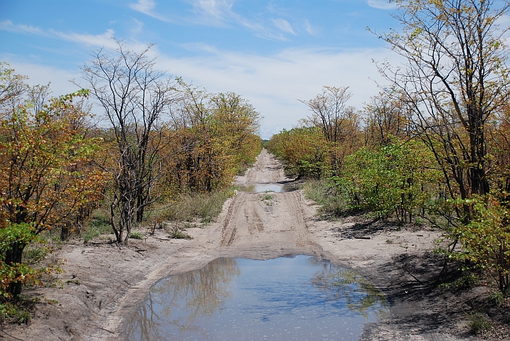 ...eine halbe Stunde später so