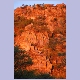Im Abendlicht rot leuchtende Felsen der Tsodilo Hills