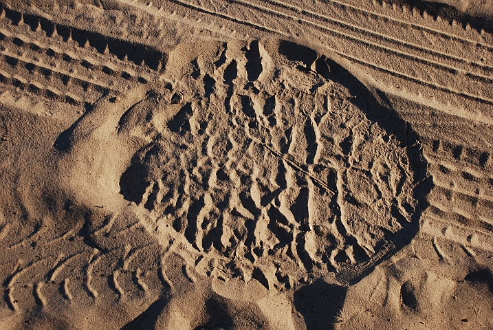 Elefantenfussabdruck im Sand