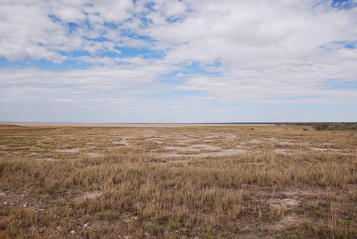 Am Rande der Etosha-Pfanne